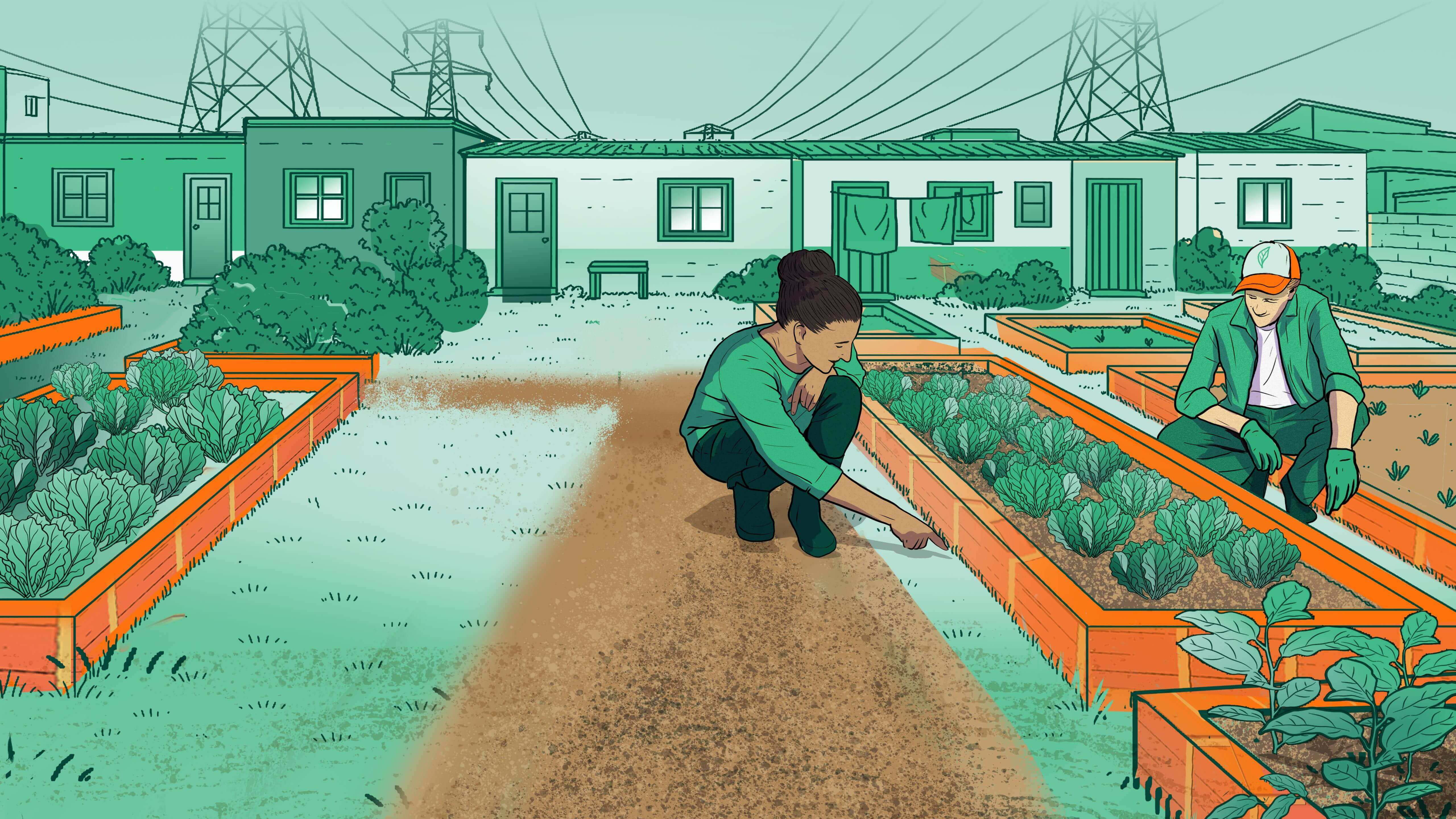 A ilustração mostra uma horta comunitária em primeiro plano. Uma mulher de cabelo preso em coque e blusa verde está agachada, cuidando das plantas em um canteiro elevado de madeira. Ao fundo, um homem, também em uma horta, está agachado. A paisagem urbana de fundo é delineada em tons de verde, mostrando casas simples e torres de energia elétrica com fiação. A luz do sol está alta.
